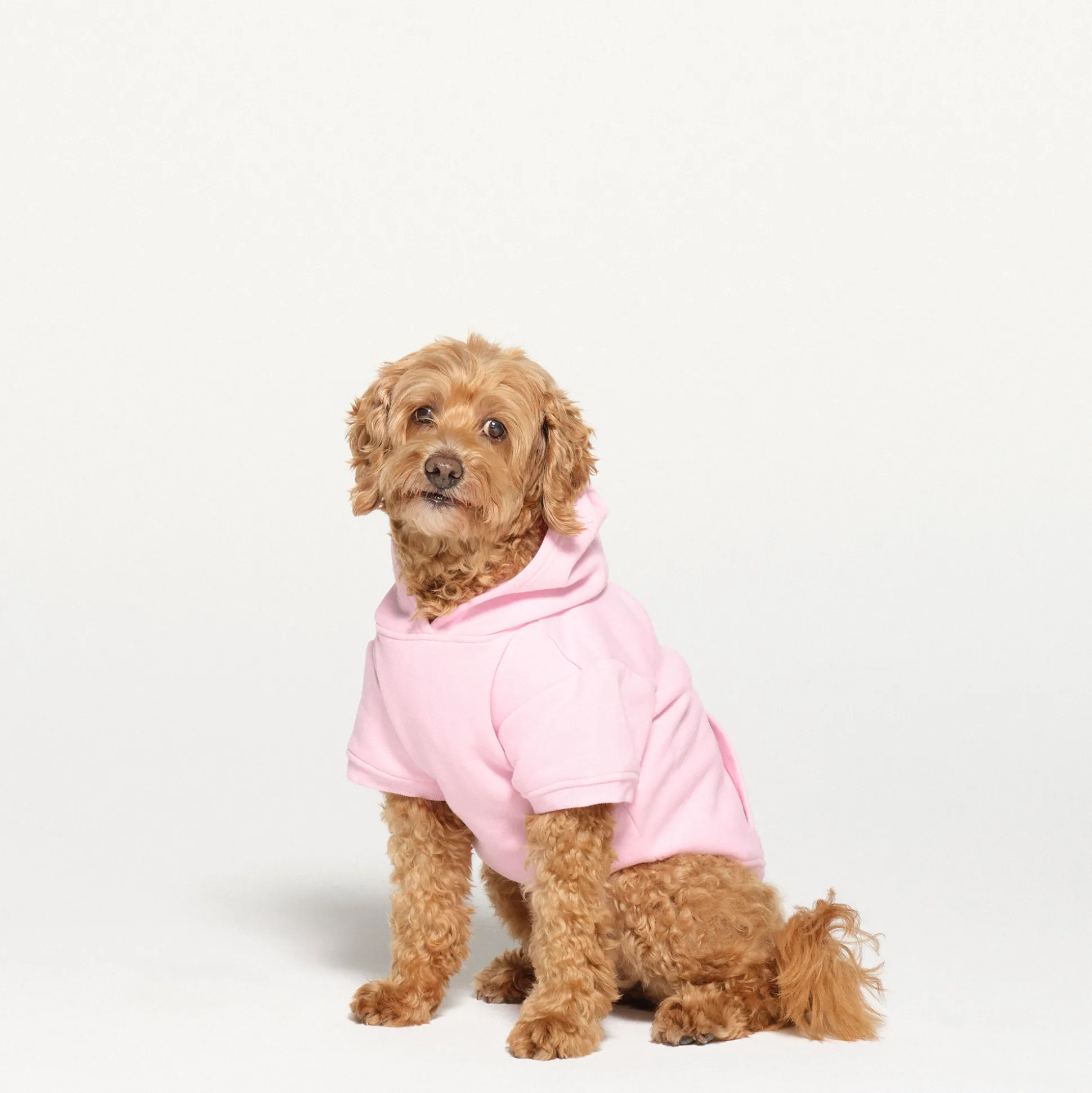COTTON FLEECE PET HOODIE | BABY PINK