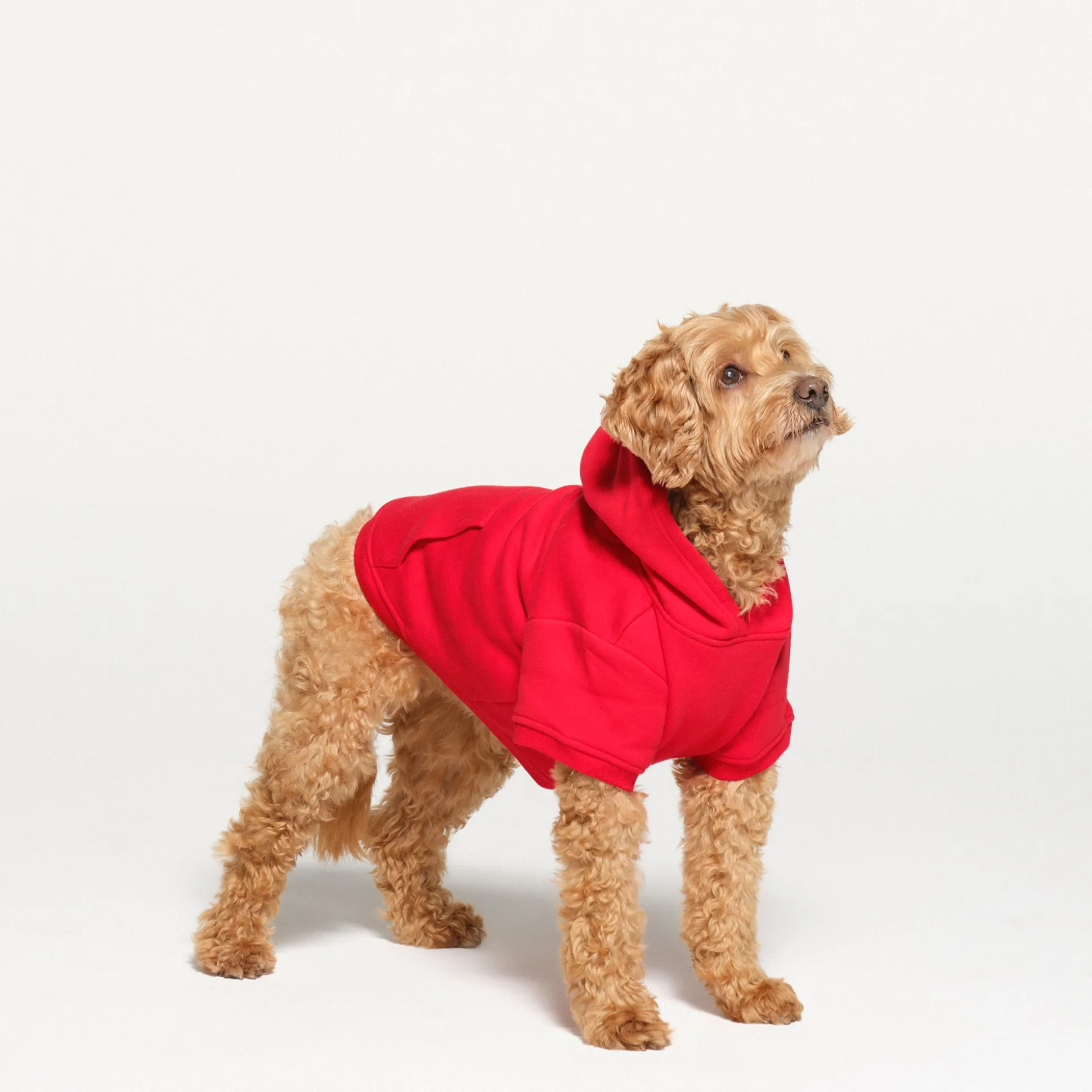 COTTON FLEECE PET HOODIE | RUBY